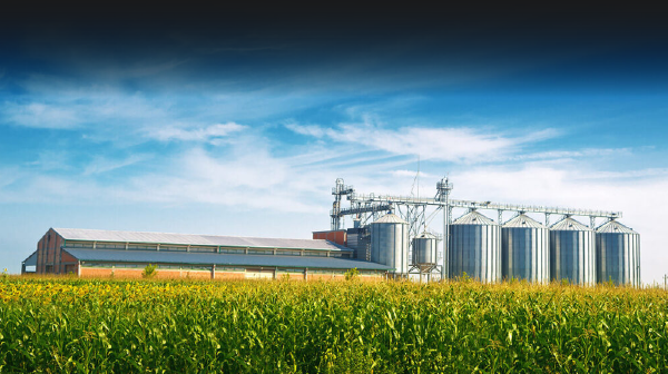 FORMACIÓN DE AUDITORES , SUPERVISORES, INSPECTORES, SISTEMAS DE GESTIÓN DE LA CALIDAD E INOCUIDAD ALIMENTARIA EN LA INDUSTRIA ALIMENTARIA, AGROINDUSTRIA Y PESQUERÍA