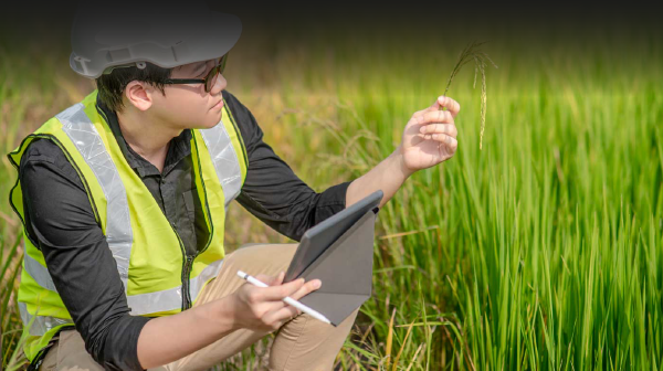 FISCALIZACIÓN AMBIENTAL