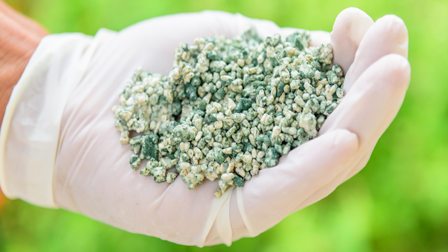 PRODUCCIÓN MASIVA Y APLICACIÓN AGRÍCOLA DE TRICHODERMA