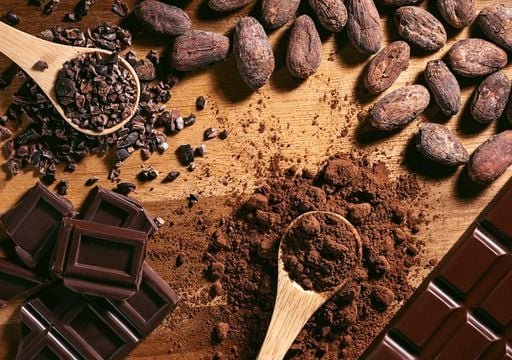 FORMULACIÓN Y ELABORACIÓN DE DERIVADOS DEL CACAO