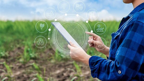 USO DE INTELIGENCIA ARTIFICIAL EN AGRICULTURA